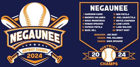 Negaunee Baseball 2024 District Champs