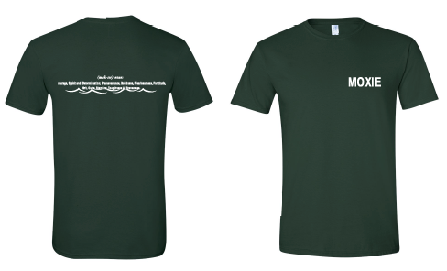 Moxie Definition Tee